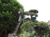 造園職人2
